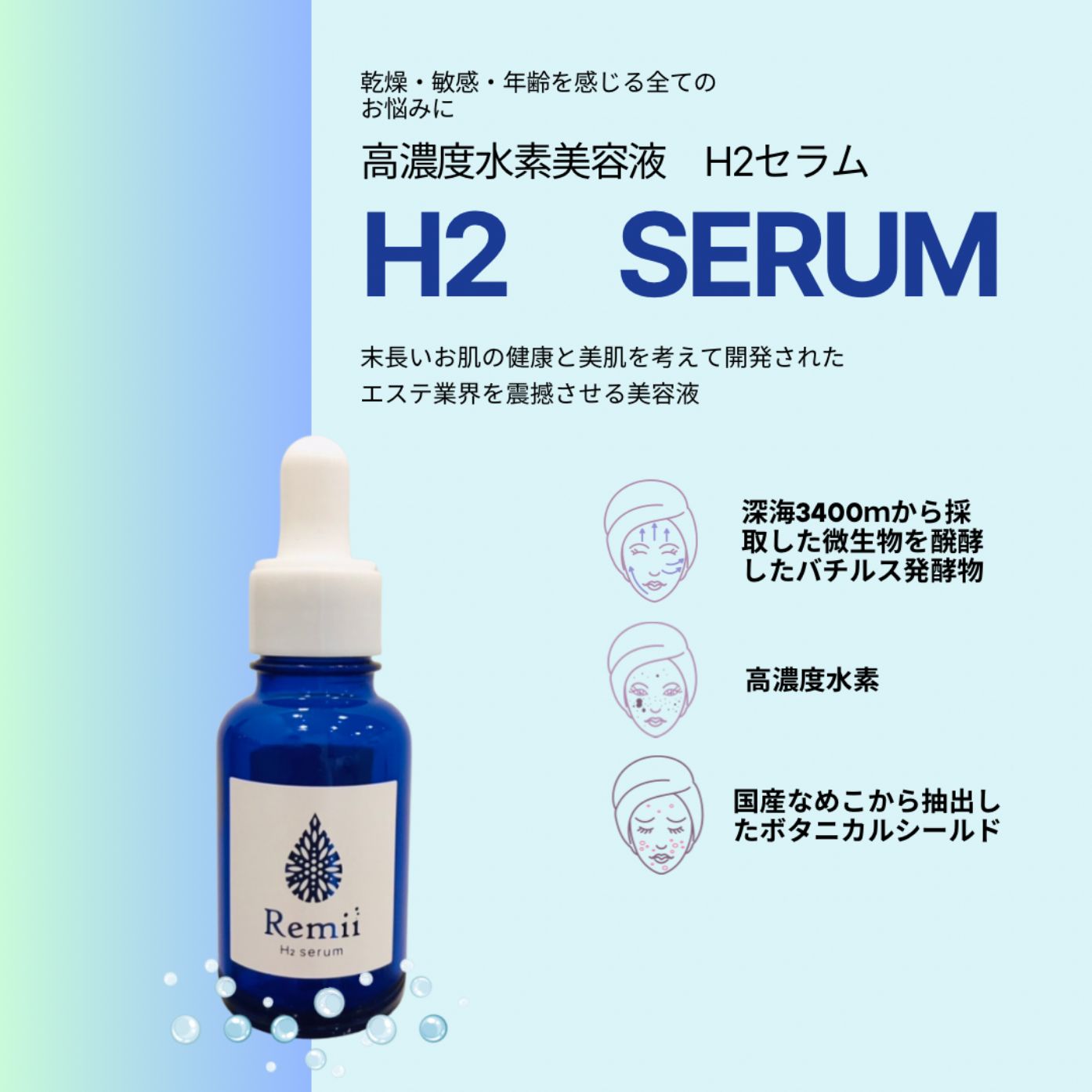 H2セラム